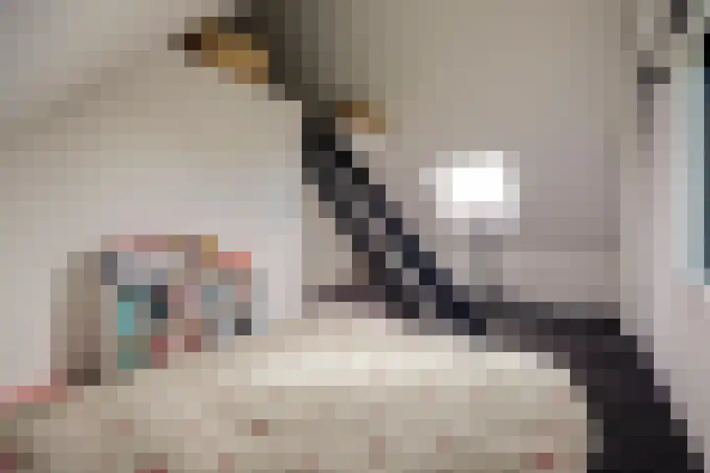 Zaagblad 11 Brummen thumbnail 25