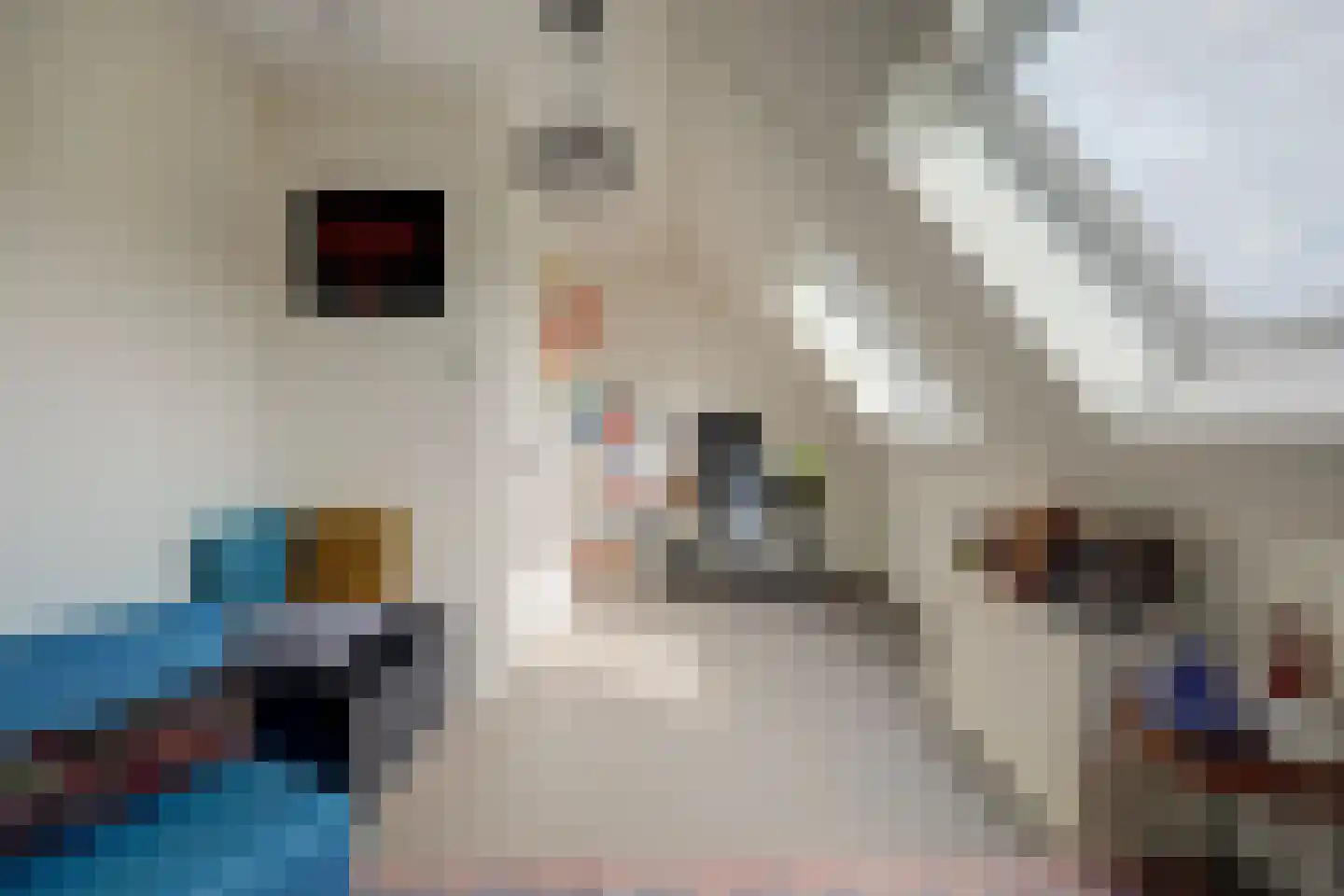 Zaagblad 11 Brummen thumbnail 26