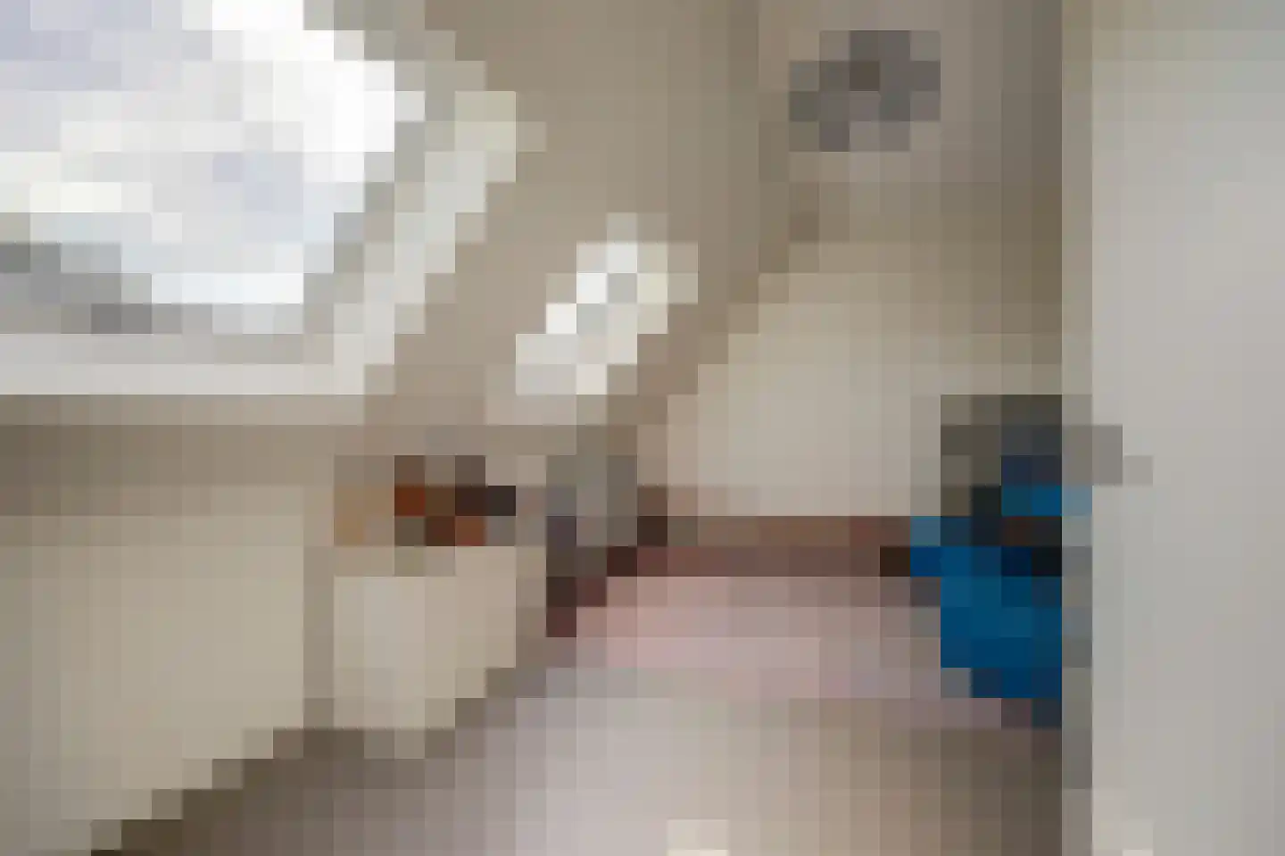 Zaagblad 11 Brummen thumbnail 27