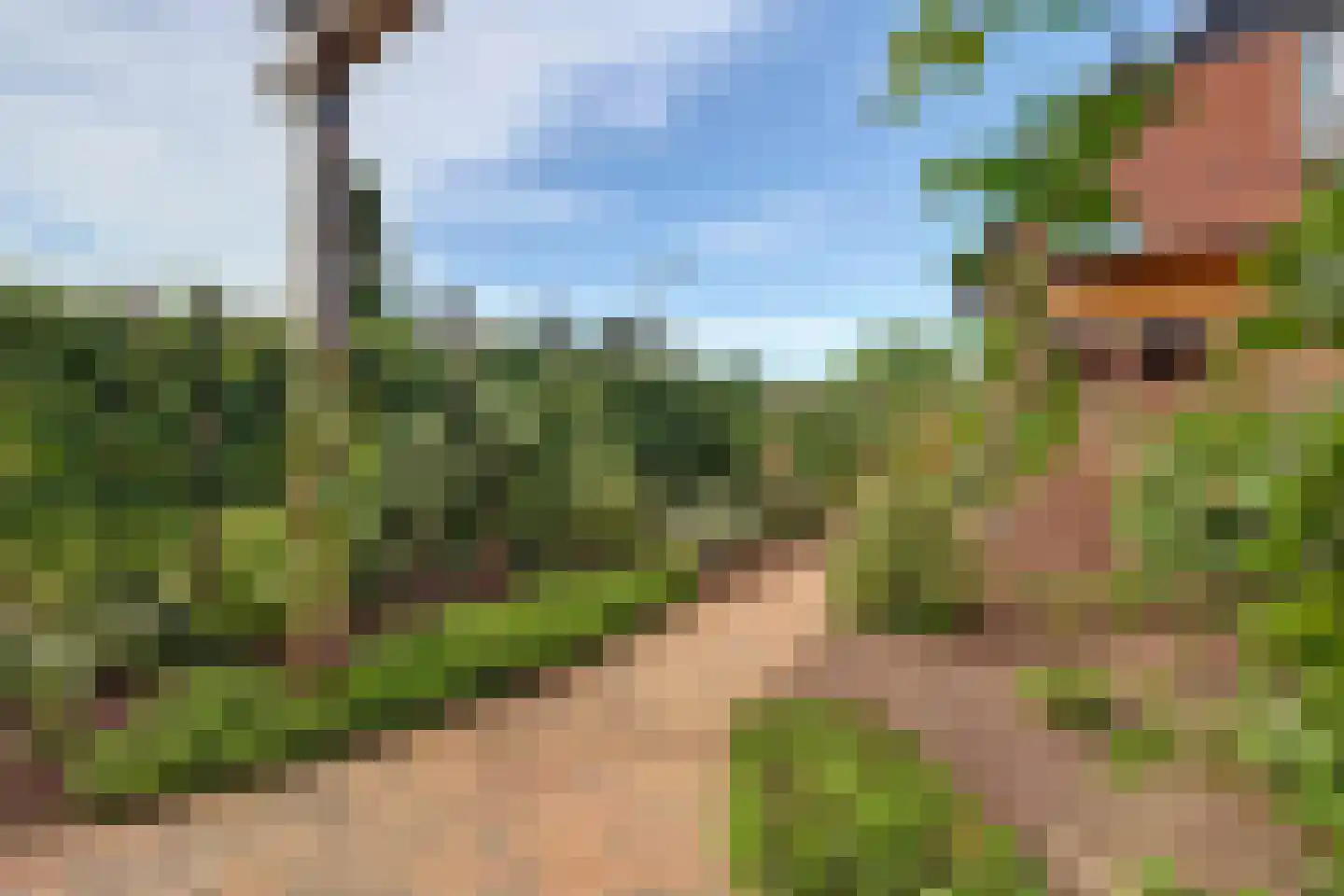 Zaagblad 11 Brummen thumbnail 30