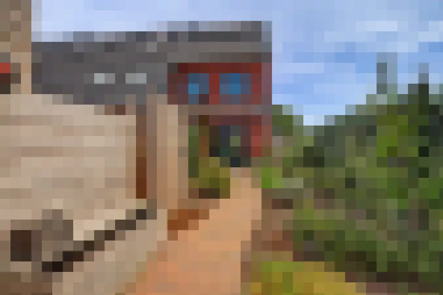 Zaagblad 11 Brummen thumbnail 32