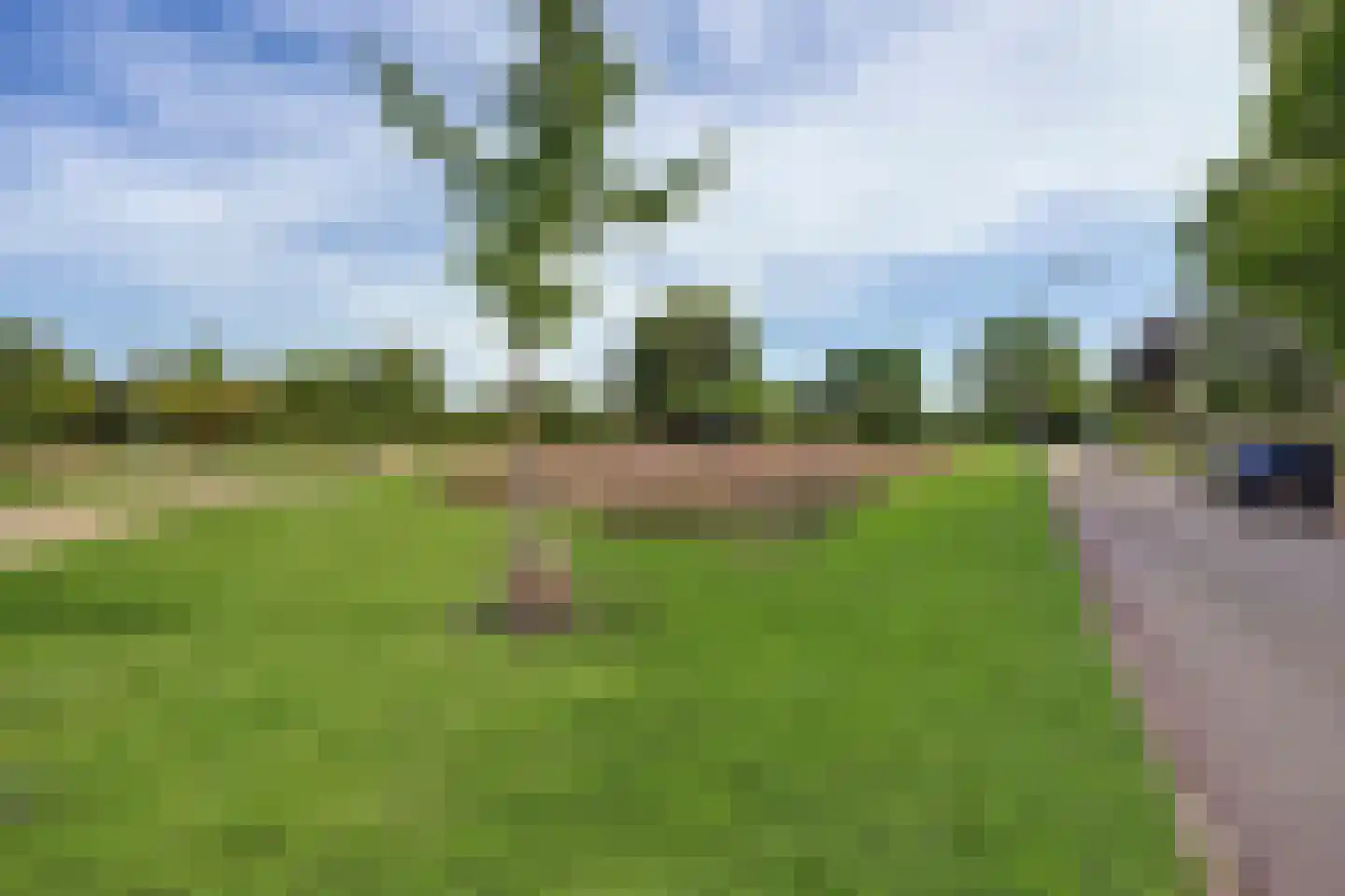 Zaagblad 11 Brummen thumbnail 34