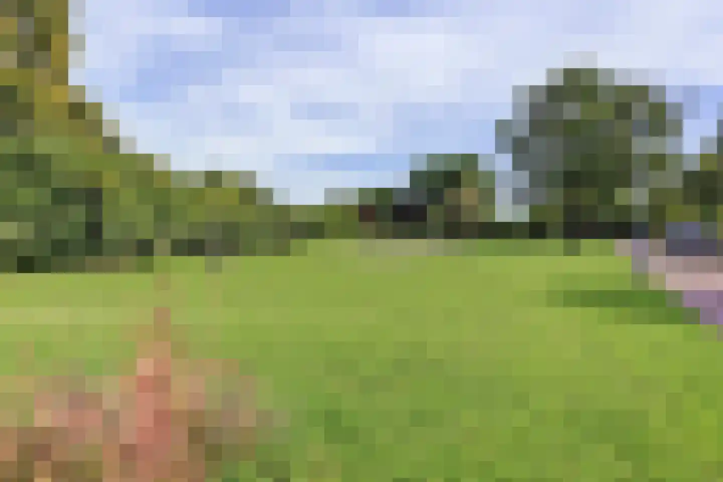 Zaagblad 11 Brummen thumbnail 35