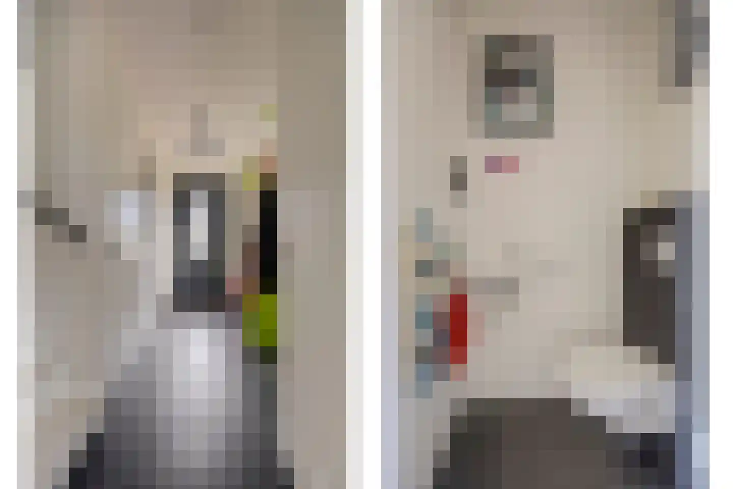 Zaagblad 11 Brummen thumbnail 5