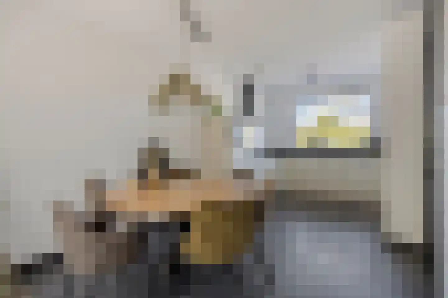 Zaagbok 19 Best thumbnail 9