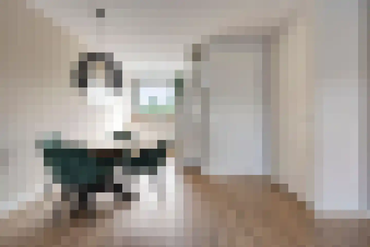 Zaagbok 51 Best thumbnail 12