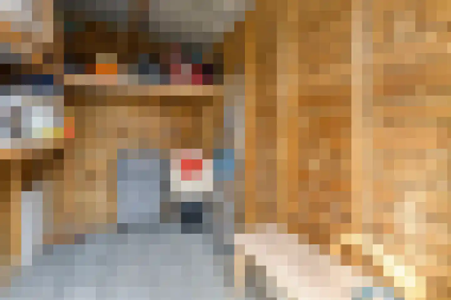 Zaagbok 51 Best thumbnail 30