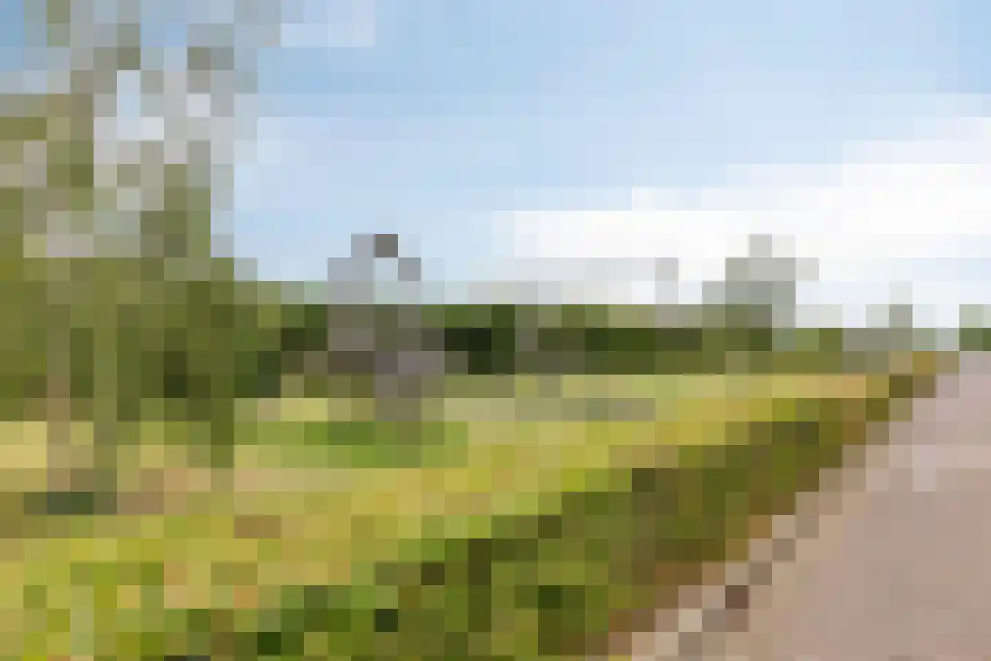 Zaagbok 51 Best thumbnail 33