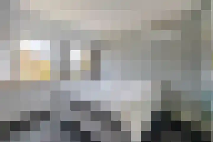 Zaagmolen 15 Schijndel thumbnail 20