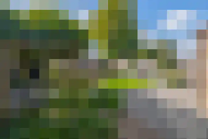 Zaagmolen 15 Schijndel thumbnail 29