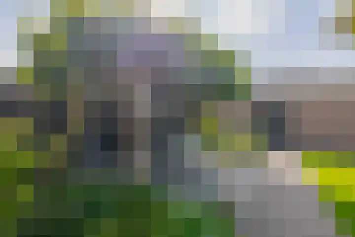 Zaagmolen 15 Schijndel thumbnail 30