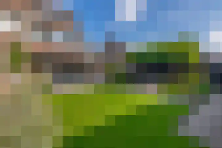 Zaagmolen 15 Schijndel thumbnail 31