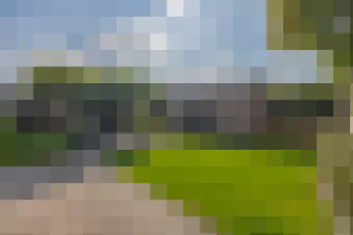 Zaagmolen 15 Schijndel thumbnail 4