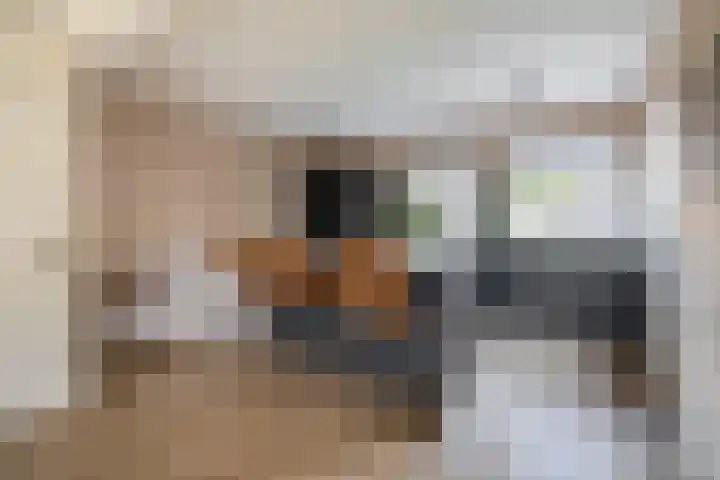 Zaagmolen 15 Schijndel thumbnail 7