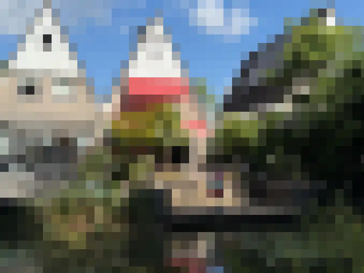 Zaagmolen 20 Capelle aan den IJssel