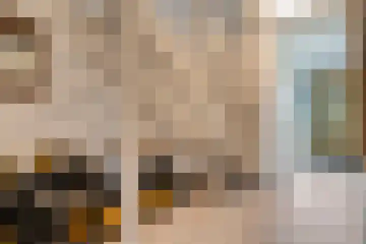 Zaagmolen 20 Zwolle thumbnail 12
