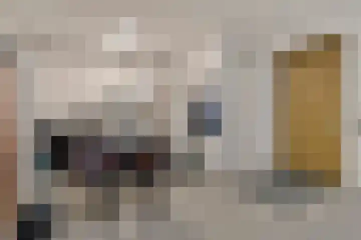 Zaagmolen 20 Zwolle thumbnail 15