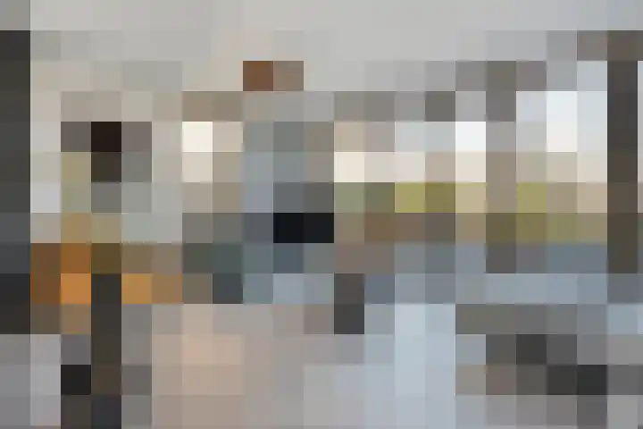 Zaagmolen 20 Zwolle thumbnail 17