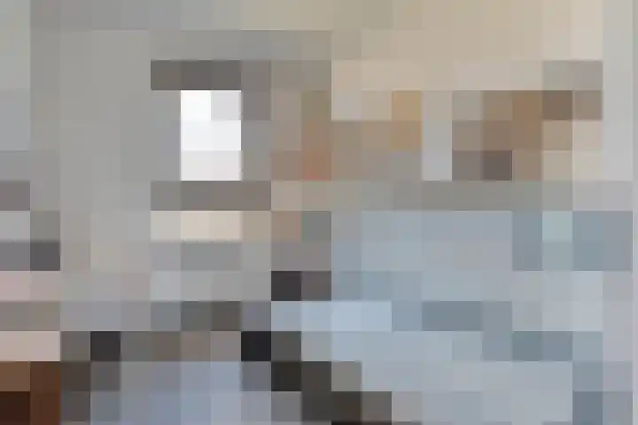 Zaagmolen 20 Zwolle thumbnail 31