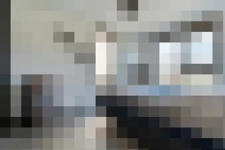 Zaagmolen 20 Zwolle thumbnail 33