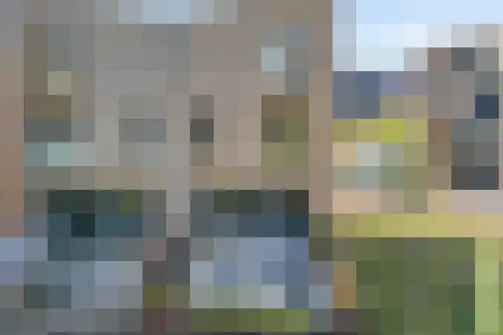 Zaagmolen 20 Zwolle thumbnail 4