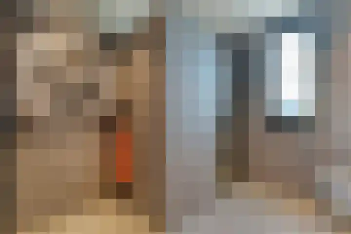 Zaagmolen 20 Zwolle thumbnail 41