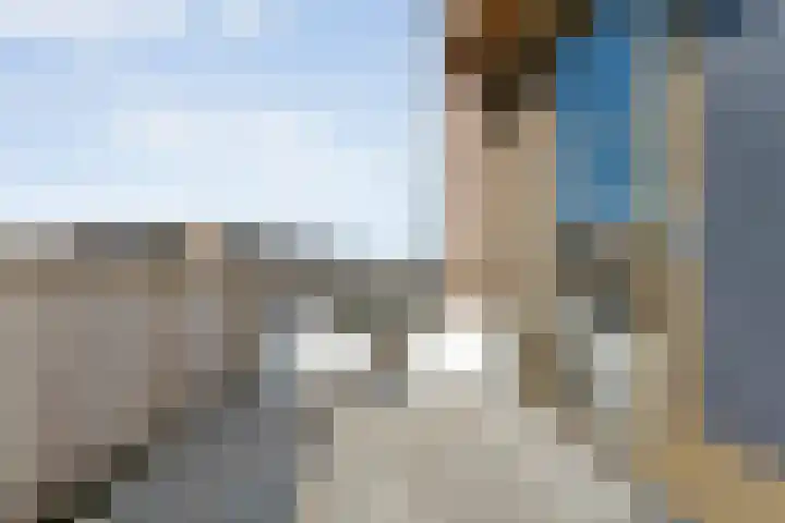 Zaagmolen 20 Zwolle thumbnail 51