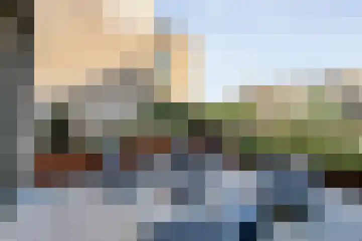 Zaagmolen 20 Zwolle thumbnail 56