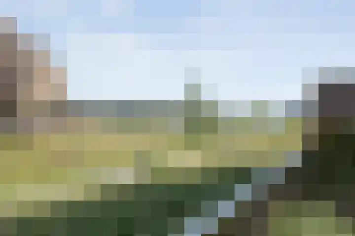 Zaagmolen 20 Zwolle thumbnail 58