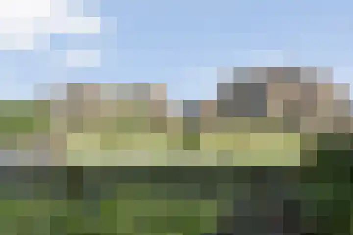 Zaagmolen 20 Zwolle thumbnail 61