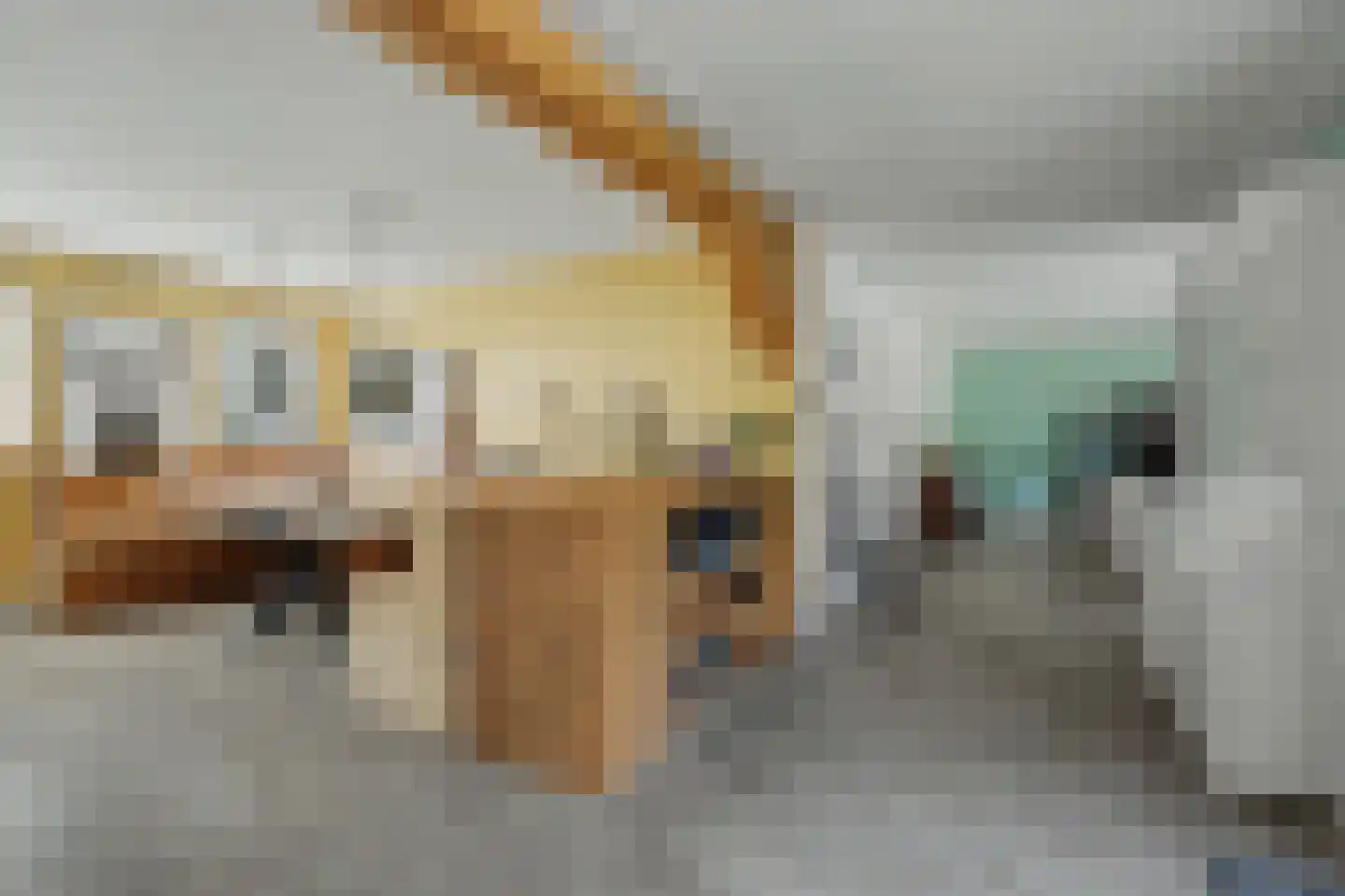 Zaagmolen 23 Zierikzee thumbnail 16