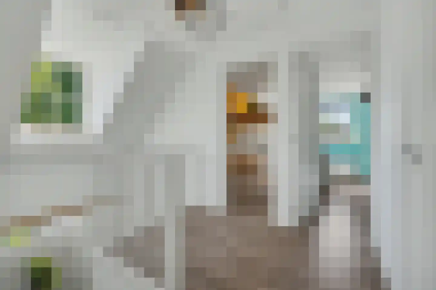 Zaagmolen 23 Zierikzee thumbnail 25