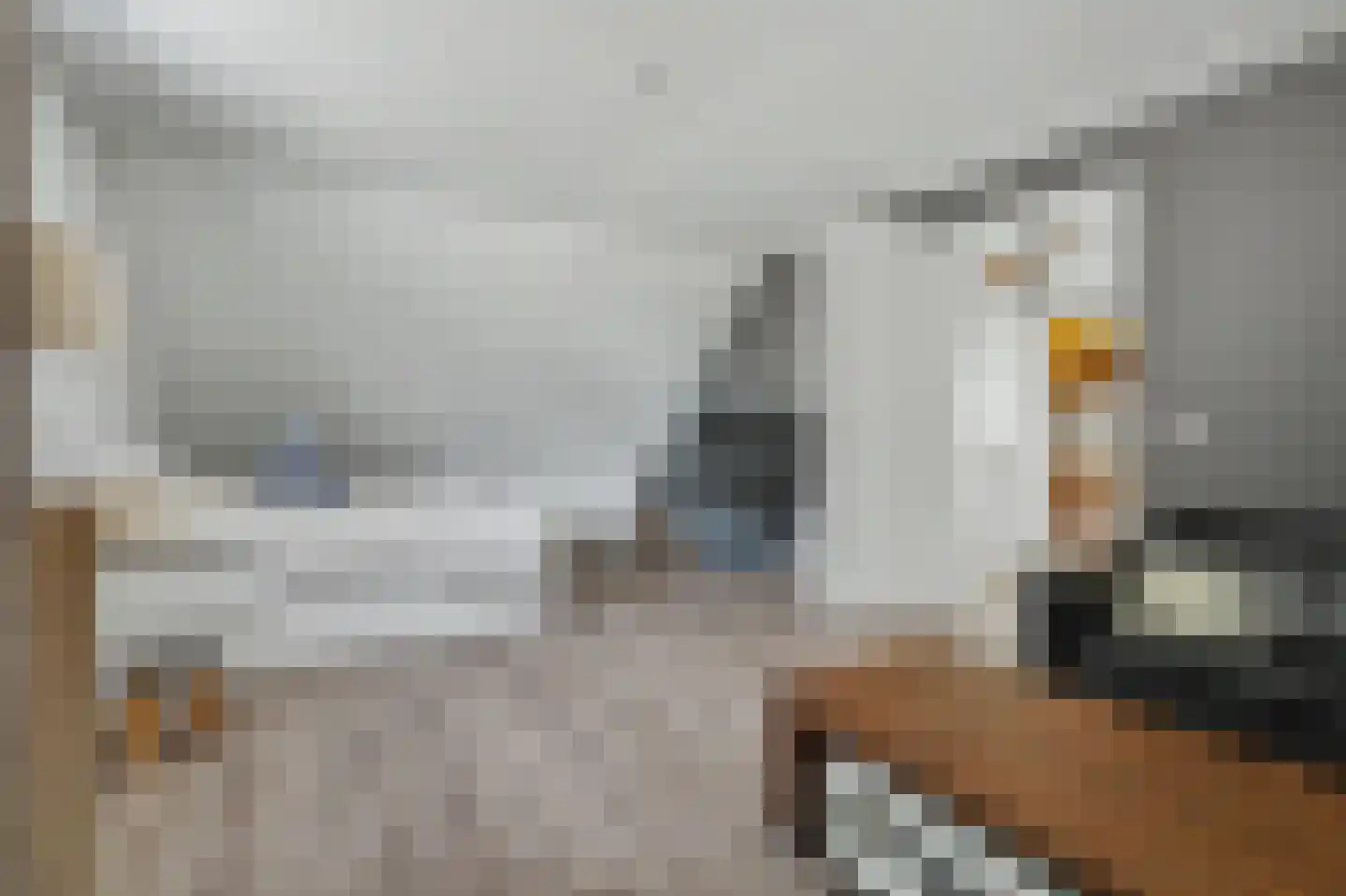 Zaagmolen 23 Zierikzee thumbnail 27