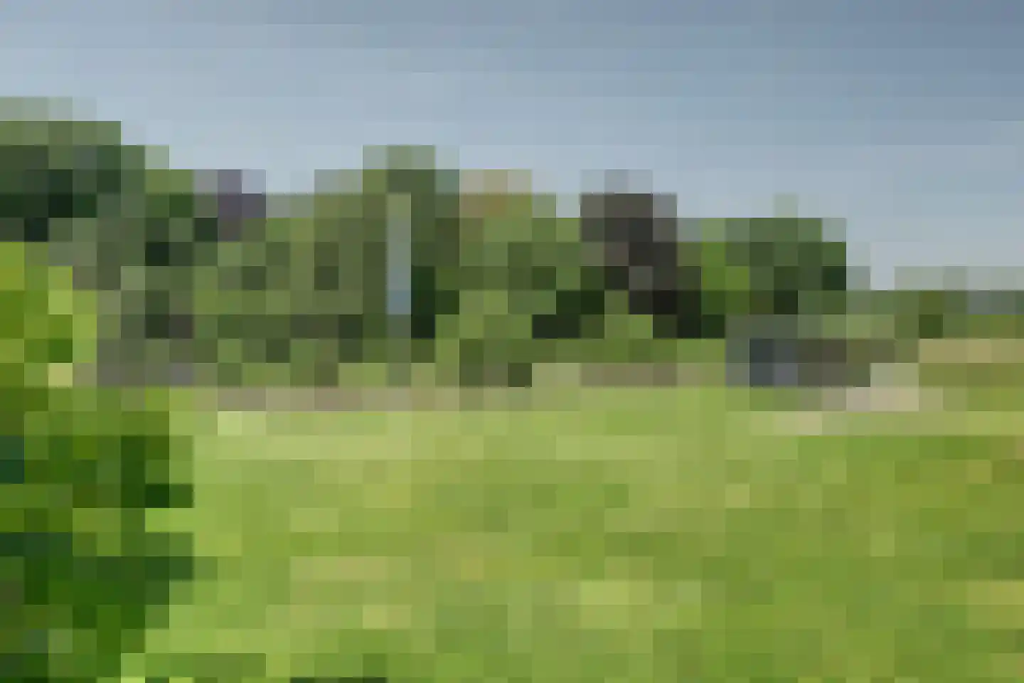 Zaagmolen 23 Zierikzee thumbnail 46