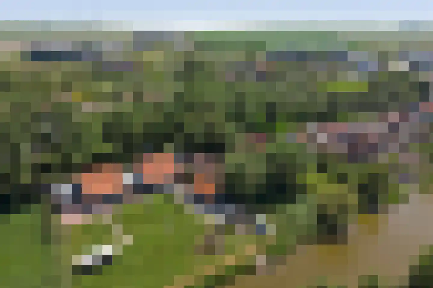 Zaagmolen 23 Zierikzee thumbnail 50