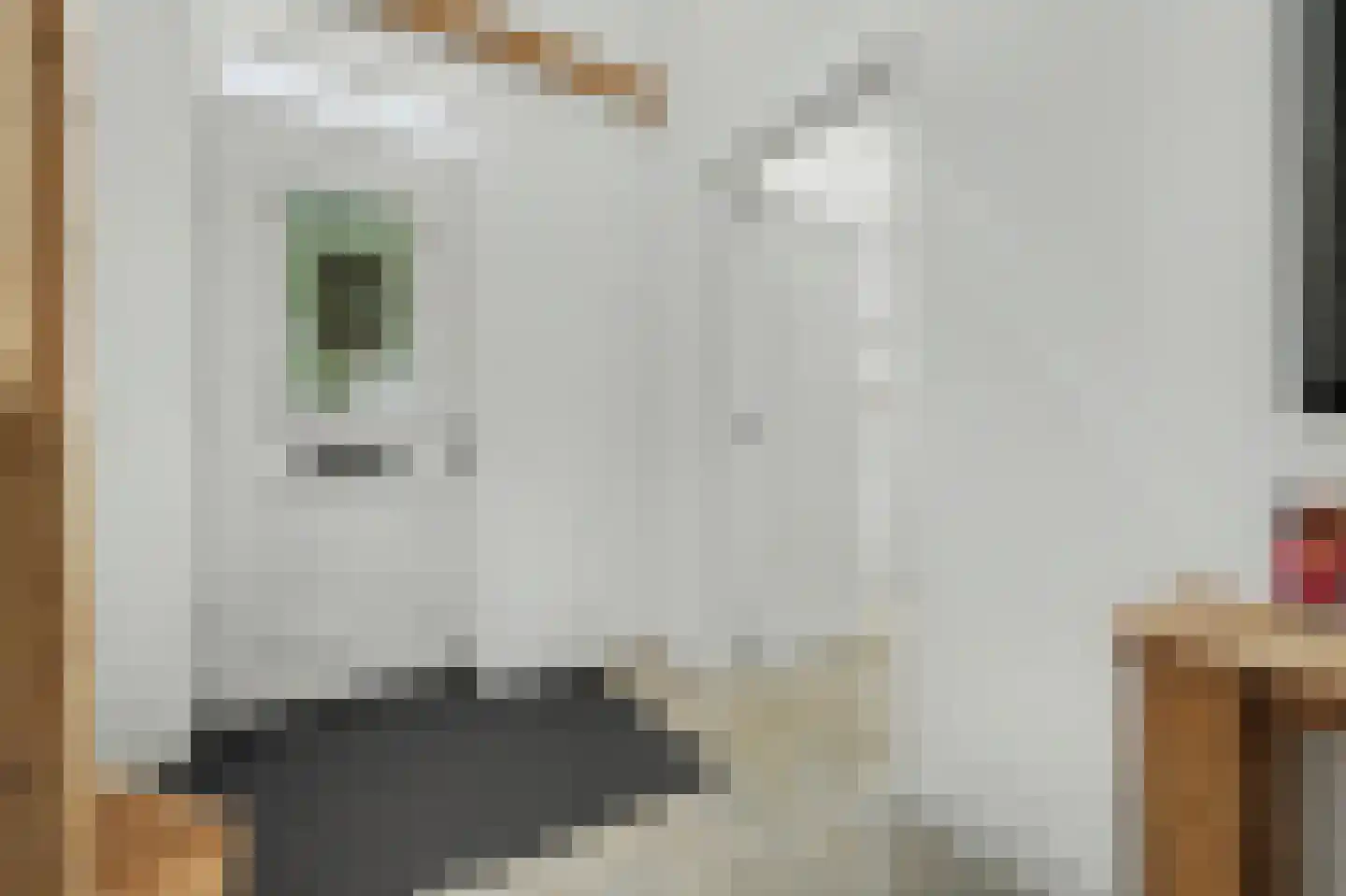Zaagmolen 23 Zierikzee thumbnail 6