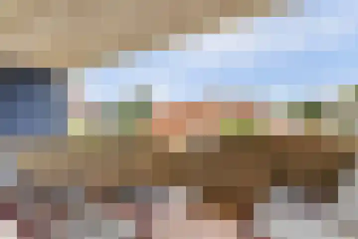 Zaagmolen 24 Wijk bij Duurstede thumbnail 11