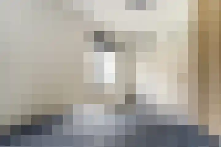 Zaagmolen 24 Wijk bij Duurstede thumbnail 14