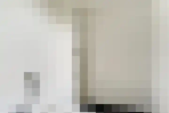Zaagmolen 24 Wijk bij Duurstede thumbnail 17