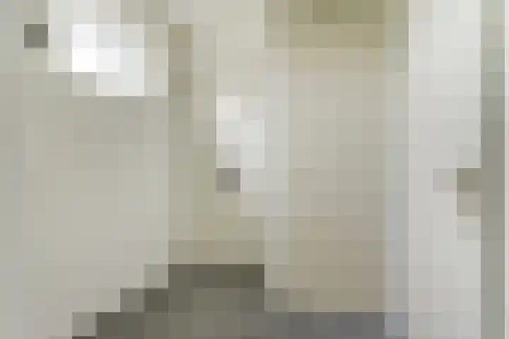 Zaagmolen 24 Wijk bij Duurstede thumbnail 20