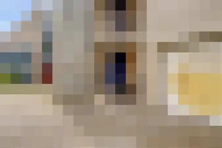 Zaagmolen 24 Wijk bij Duurstede thumbnail 23