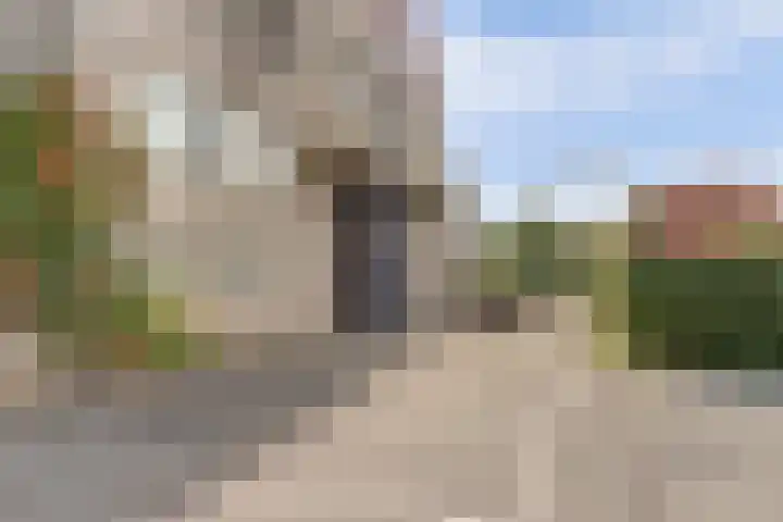 Zaagmolen 24 Wijk bij Duurstede thumbnail 29
