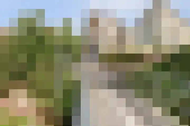 Zaagmolen 24 Wijk bij Duurstede thumbnail 31