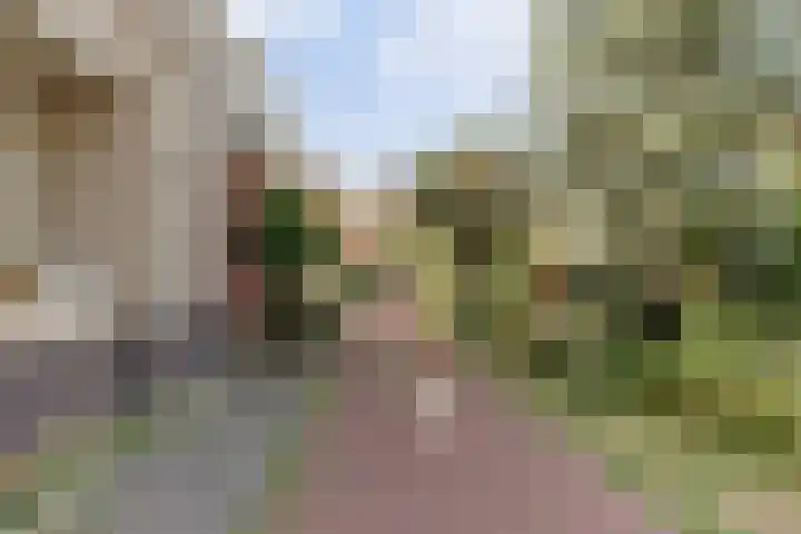 Zaagmolen 24 Wijk bij Duurstede thumbnail 33