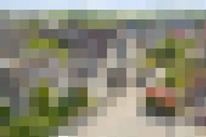 Zaagmolen 24 Wijk bij Duurstede thumbnail 34
