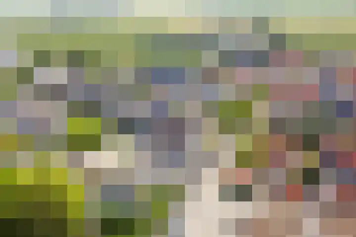 Zaagmolen 24 Wijk bij Duurstede thumbnail 35