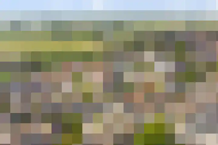 Zaagmolen 24 Wijk bij Duurstede thumbnail 36