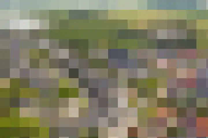 Zaagmolen 24 Wijk bij Duurstede thumbnail 37