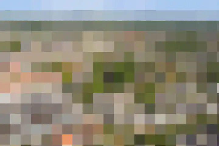 Zaagmolen 24 Wijk bij Duurstede thumbnail 38