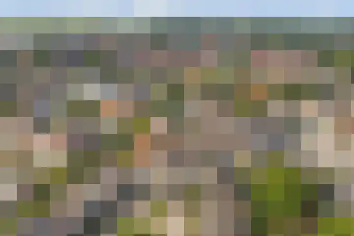 Zaagmolen 24 Wijk bij Duurstede thumbnail 39